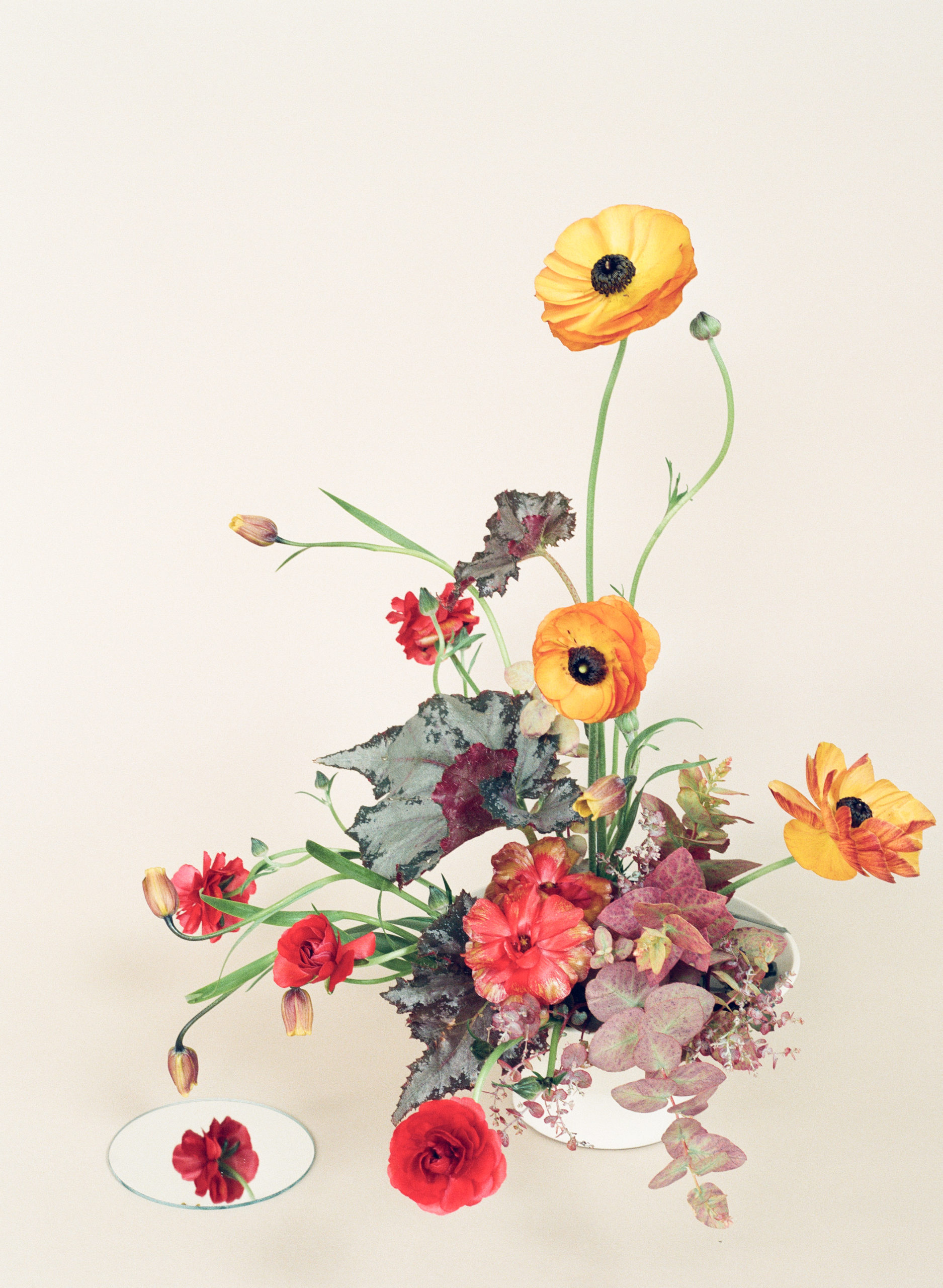 a colorful floral arrangement on a seamless brown backdrop